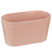 Prodotto Ciotola per piante ovale ciotola decorativa plastica rosa marrone 20×10×11 cm 3pz