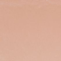 Prodotto Ciotola per piante ovale ciotola decorativa plastica rosa marrone 20×10×11 cm 3pz