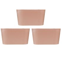 Prodotto Ciotola per piante ovale ciotola decorativa plastica rosa marrone 20×10×11 cm 3pz