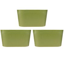 Prodotto Ciotola per piante ovale verde in plastica 20×10×11cm 3 pezzi