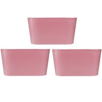 Prodotto Ciotola per piante ovale rosa ciotola decorativa plastica 20×10×11 cm 3pz