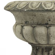 Prodotto Ciotola per piante vaso per piante trofeo in cemento antico Ø20cm H16,5cm