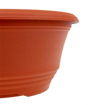 Prodotto Ciotola per piante in plastica Ø27 cm terracotta, 1 pezzo