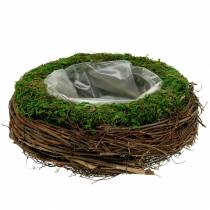 Portavasi in rattan, muschio Ø26cm H9cm