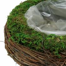 Portavasi in rattan, muschio Ø26cm H9cm