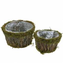 Ciotola per piante muschio/corteccia tonda Ø15/20cm set di 2