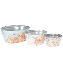 Prodotto Vasi per piante, primavera, fioriere per fiori/uccelli, contenitore ovale in metallo L39/31/24,5cm, set da 3