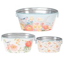 Prodotto Vasi per piante, primavera, fioriere per fiori/uccelli, contenitore ovale in metallo L39/31/24,5cm, set da 3