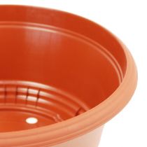 Prodotto Ciotola per piante in plastica Ø23cm H10cm 1 pezzo
