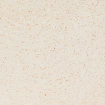 Prodotto Portapiante in plastica per nave portapiante beige 28×9×9 cm 3pz
