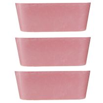 Prodotto Ciotola per piantare barchetta ovale rosa 27×11×10cm 3pz