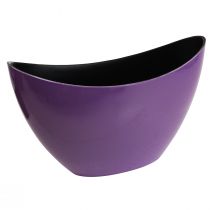 Prodotto Ciotola decorativa per barchetta per piante viola 20×9 cm H12 cm