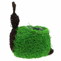 Prodotto Fioriera Lumaca Vite Naturale, Verde 21x14cm H26cm