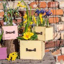 Cassettiera per piante in legno giallo 12,5/16 cm set di 2