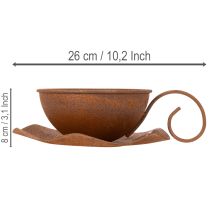 Prodotto Vaso da fiori con sottovaso, finitura ruggine, Ø19,5cm, H8cm
