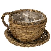 Prodotto Tazza da piantare con piattino, piccolo cestino da piantare in paglia, Ø17cm H13cm