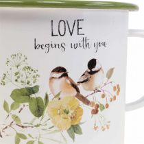 Prodotto Vaso da piantare in smalto, vaso per piante con scritta, Ø11cm