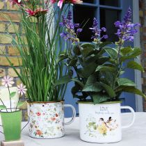 Prodotto Vaso da piantare in smalto, vaso per piante con scritta, Ø11cm