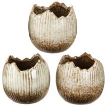 Prodotto Vaso per piante in ceramica Uovo rotto Crema Marrone Ø9.5cm 3 pezzi