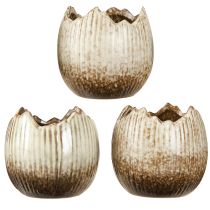 Prodotto Vaso per piante in ceramica Uovo rotto Crema Marrone Ø9.5cm 3 pezzi