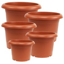 Prodotto Vaso per piante “Oliver” in terracotta Ø15cm - 45cm, 1pz