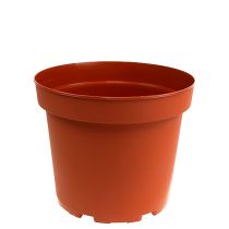 Prodotto Vaso per piante in plastica Ø17 cm 10 pezzi