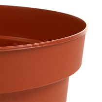 Prodotto Vaso per piante in plastica Ø17 cm 10 pezzi