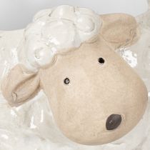 Prodotto Fioriera in ceramica a forma di pecora, ciotola decorativa per piante da giardino e da casa, 2 pezzi
