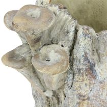 Prodotto Vaso per piante in pietra fusa con funghi, ceppo d&#39;albero, 16 cm