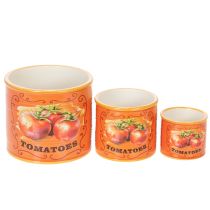 Prodotto Set di vasi Motivo pomodoro Vasi in ceramica decorativi per arredamento retrò e piante 14 cm, set da 3