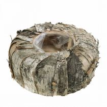 Fioriera intorno al vaso per piante in corteccia di betulla Ø25cm H10cm