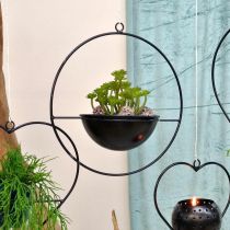 Prodotto Portavasi per appendere anello in metallo nero Ø38cm con ciotola Ø15cm