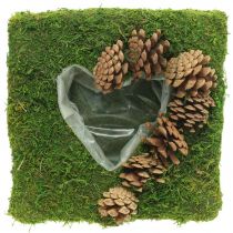 Cuscino per piante cuore muschio e coni quadrati 25 × 25 cm