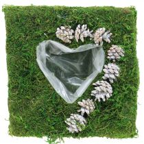 Cuscino per piante cuore muschio e pigne, bianco lavato 25 × 25 cm