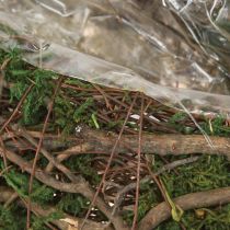 Prodotto Piccola ciotola per piante Plant Wave Vines con muschio 31×15×7cm