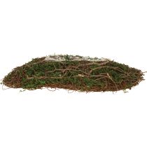 Prodotto Piccolo cesto per piante Vite con muschio 31×15×7cm