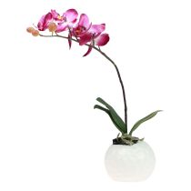Prodotto Orchidee artificiali in vaso Phalaenopsis fiori artificiali orchidee rosa 34 cm