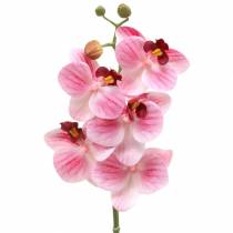 Ramo di orchidea artificiale Phaelaenopsis rosa H49cm