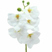Ramo orchidea artificiale Phaelaenopsis bianco H49cm