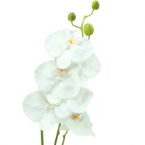 Orchidea Phalaenopsis artificiale bianca 80cm