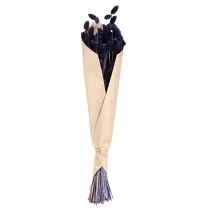 Prodotto Erba decorativa essiccata Phalaris Violet 50-55 cm 100 g