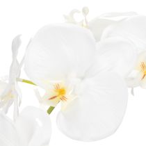 Prodotto Pianta di orchidea artificiale, ingannevolmente realistica, per la decorazione di ufficio e soggiorno, 62 cm