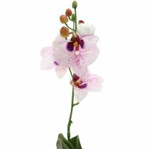 Phaleanopsis orchidea artificiale bianco, viola 43cm
