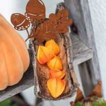 Physalis Orange Assortiti 22 pezzi deco calici artificiali