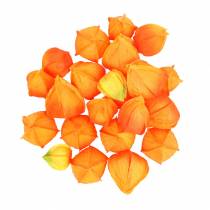 Physalis Orange Assortiti 22 pezzi deco calici artificiali