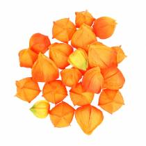 Prodotto Physalis Orange assortiti 22 calici decorativi per fiori artificiali