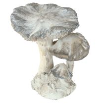 Prodotto Decorazione a forma di fungo in pietra fusa grigio bianco lavato 21,5×18×22cm