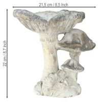Prodotto Decorazione fungo Pietra fusa Grigio bianco 21,5×18×22cm