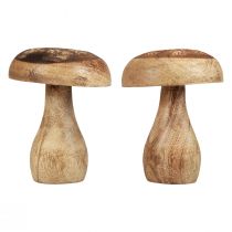 Prodotto Funghi in legno funghi decorativi legno naturale decorazione autunnale Ø10cm H12cm 2 pezzi