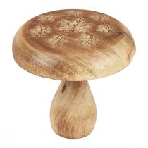 Decorazione di funghi in legno decorazione di funghi in legno decorazione autunnale naturale Ø15cm H14,5cm